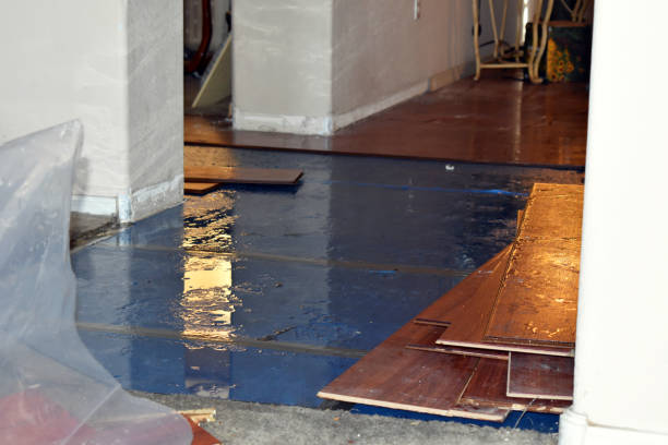 Professional Basement Water Removal technician working in Red Oak, TX